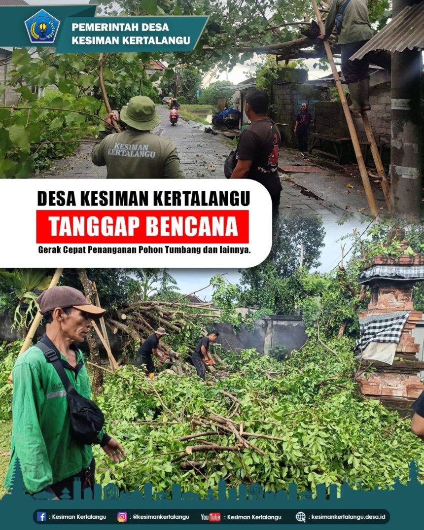Desa Kesiman Kertalangu Tanggap Bencana Pohon Tumbang