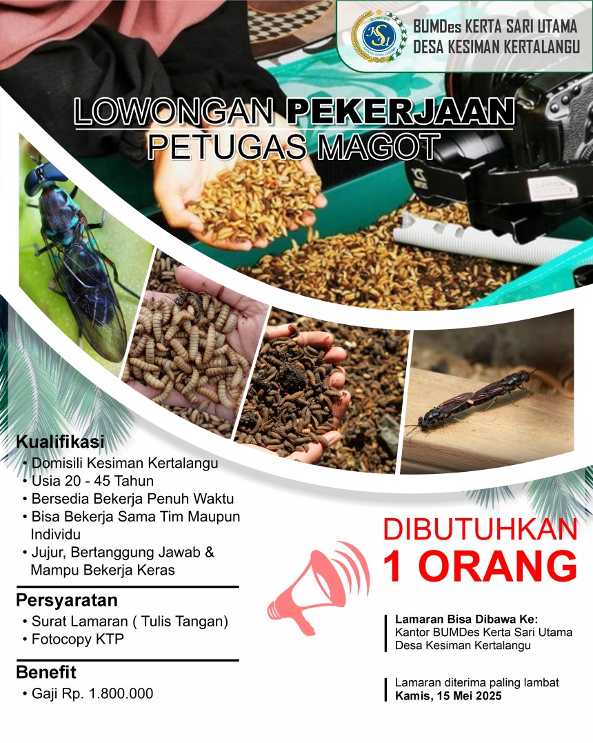 INFO LOWONGAN KERJA – PETUGAS MAGOT
