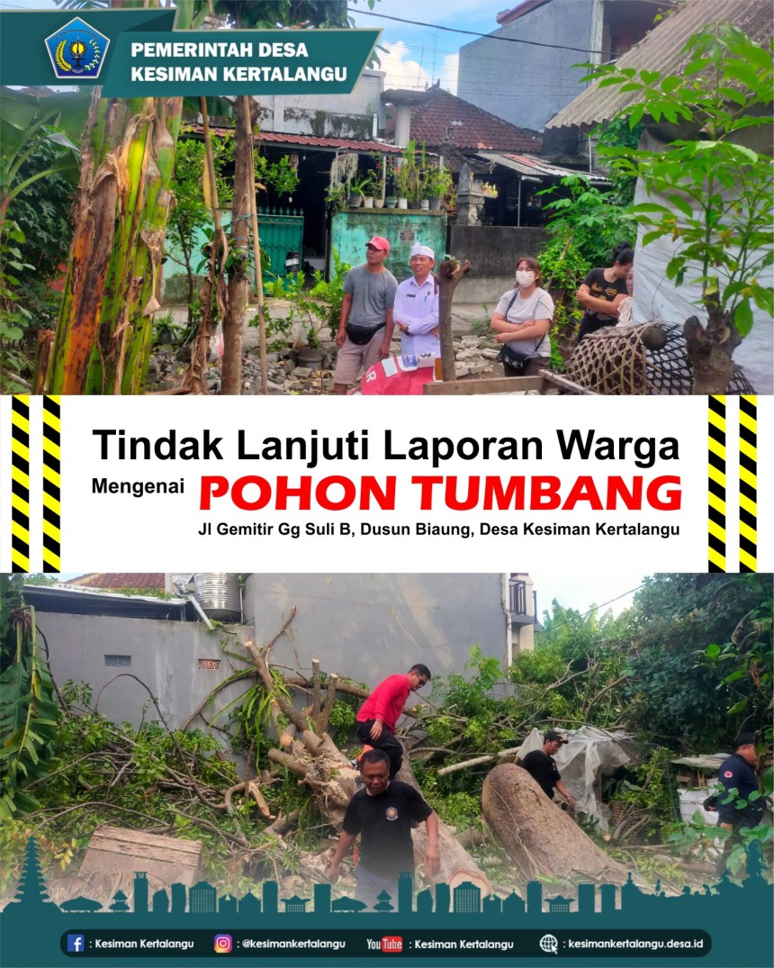 Pohon Tumbang di Jalan Gemitir Gang Suli B, Dusun Biaung